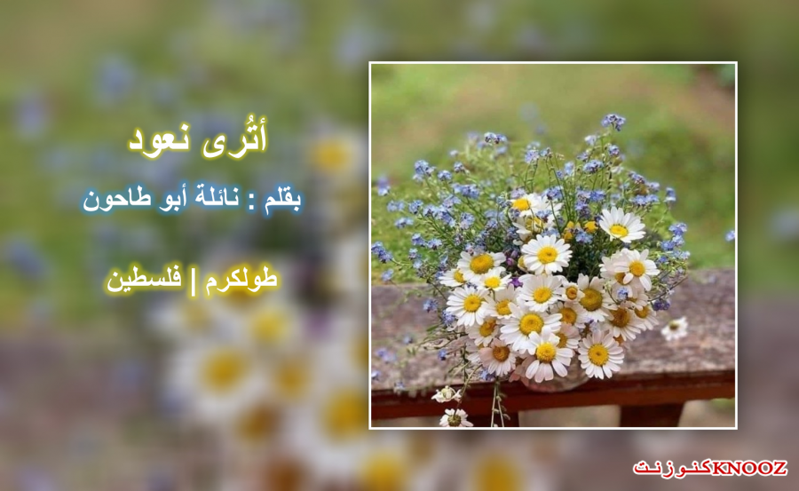  أتُرى نعود | بقلم : نائلة أبوطاحون